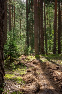 Sürekli mineralleştirilmiş şerit, yer yangını için aşılamaz. Tüttürme, yangın başlamadan önce önleyici bir önlem olarak kullanılır.