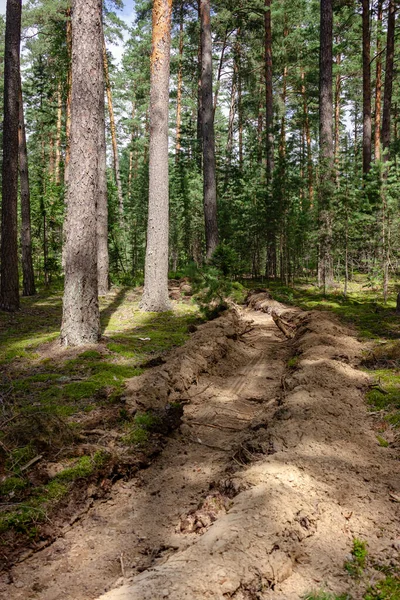 Sürekli mineralleştirilmiş şerit, yer yangını için aşılamaz. Tüttürme, yangın başlamadan önce önleyici bir önlem olarak kullanılır.