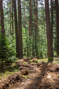 Sürekli mineralleştirilmiş şerit, yer yangını için aşılamaz. Tüttürme, yangın başlamadan önce önleyici bir önlem olarak kullanılır.