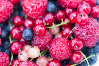 taze organik çilek. Ahududu, yaban mersini, kırmızı kuş üzümü bir