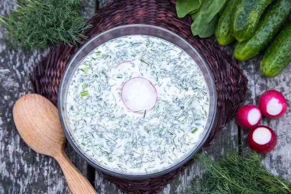 Russian spring-summer cold soup with vegetables with kefir — Stock Photo, Image