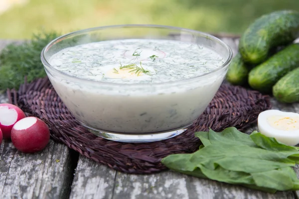 Russian spring-summer cold soup with vegetables with kefir — Stock Photo, Image