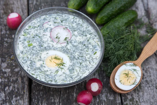 Sopa fria de primavera-verão russa com verduras com Kefir — Fotografia de Stock