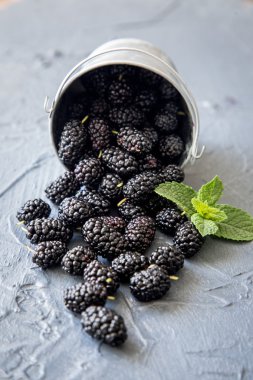 Nane ile küçük bir sepet içinde taze organik siyah dut yaprakları.