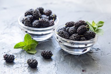Taze organik Karadut nane ile bir küçük tatlı tabak içinde
