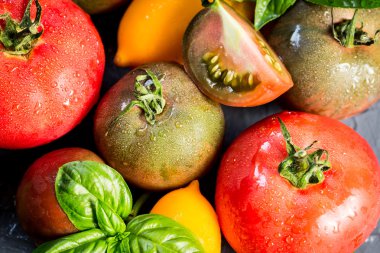 Farklı boyut ve fesleğen ile türlü renkli domates. seçileceği yer