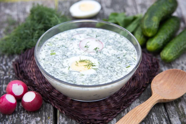 Sopa fria de primavera-verão russa com verduras com Kefir — Fotografia de Stock