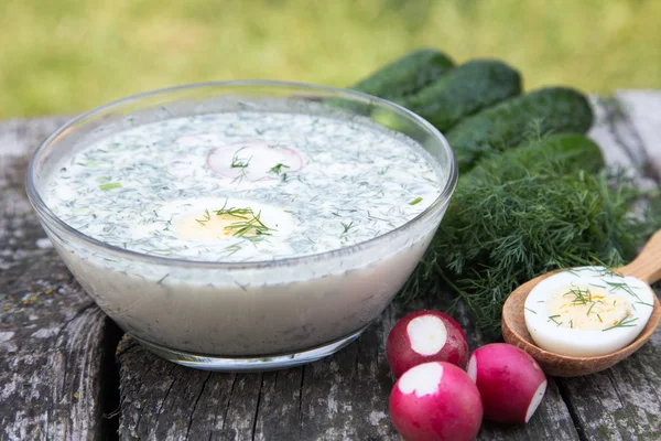 Sopa fria de primavera-verão russa com verduras com Kefir — Fotografia de Stock