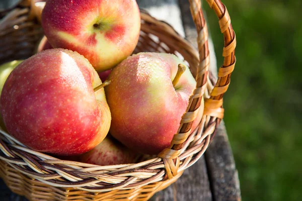 Ripe apples in basket on rustic table. red autumn apples Stock Picture