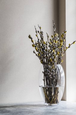 Masanın üstündeki vazoda çiçek açan söğüt çiçekleri. bahar arkaplanı