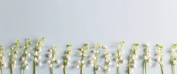 Lirios Florecientes Del Valle Sobre Fondo Azul Fondo Floral Moda — Foto de Stock