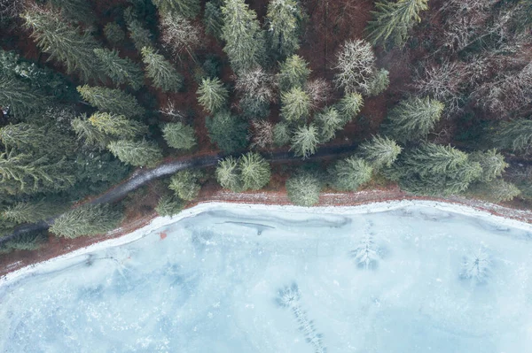 aerial view from a drone of a forest in the snow, and a frozen icy lake.