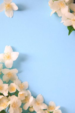 Mavi arka planda narin yasemin çiçekleri. Yasemin (diğer isimler Jasminum, Melati, Jessamine, Oleaceae) çiçekleridir. Metin için boşluk