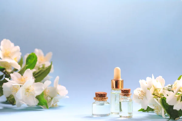 Fleurs Jasmin Tendres Huile Petite Bouteille Avec Huile Arôme Cosmétique — Photo