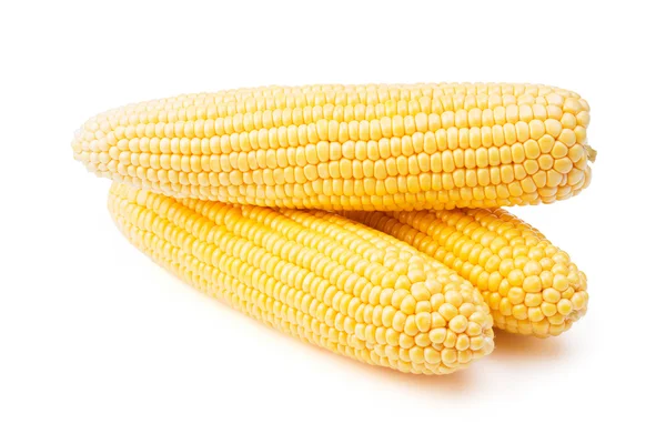 Three ears of corn without leaves isolated on white — Stock Photo, Image