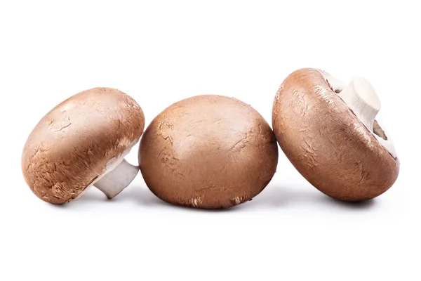 Three brown mushrooms isolated on white Stock Photo