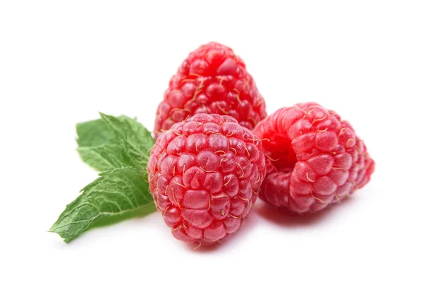Three raspberries with mint leaves isolated on white Stock Photo