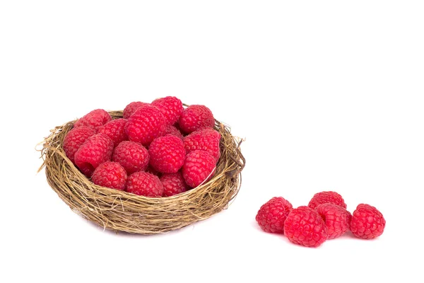 Raspberries in a basket on white background — Stock Photo, Image