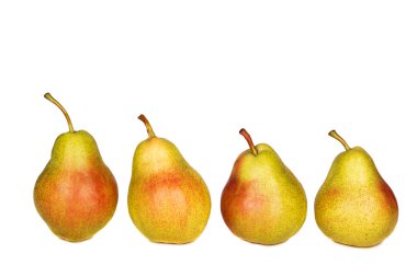 Beyaz arka plan üzerinde izole armut hattı 