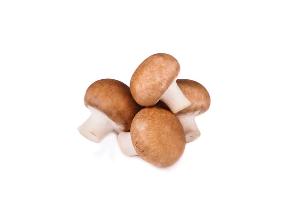 Świeże grzyby champignon na białym tle — Zdjęcie stockowe