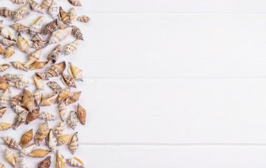 Beyaz ahşap zemin üzerinde kabukları