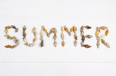 kelime yaz kabukları ile ahşap arka plan üzerinde yazılı