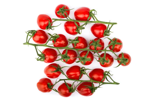 Tomates sur la branche — Photo