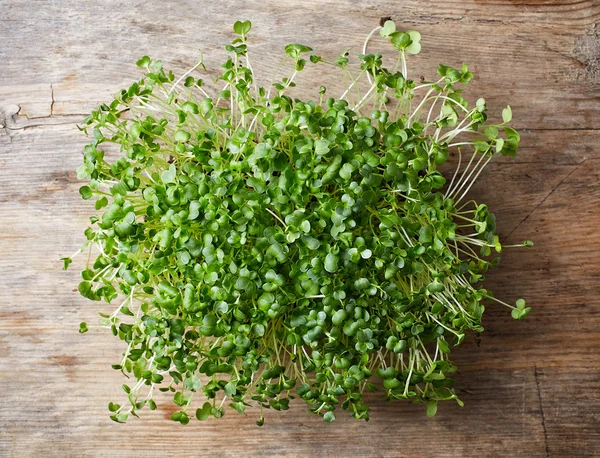 Brote de brócoli fresco — Foto de Stock