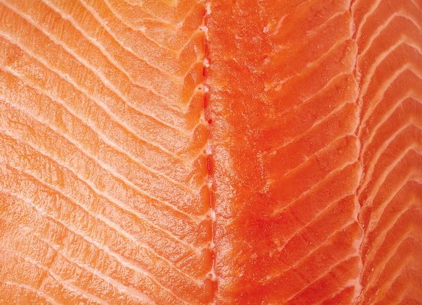 Čerstvé syrové lososí filet pozadí — Stock fotografie