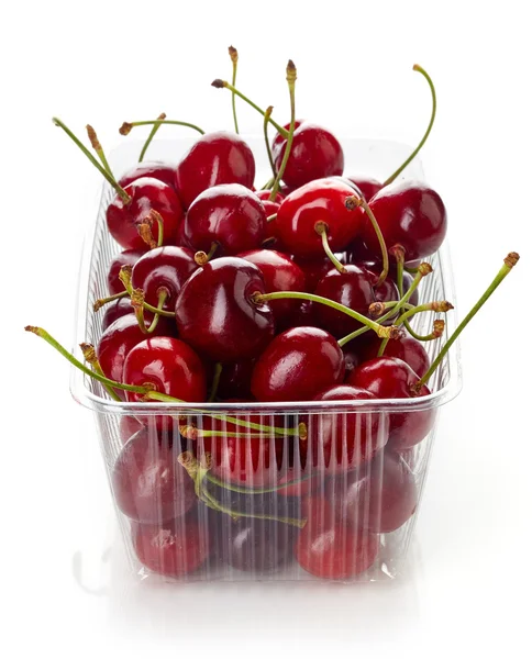 Cherry v nádobě z plastu box izolované na bílém — Stock fotografie