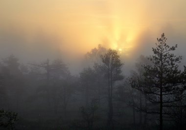 Sunrise Kemeri Milli Parkı içinde
