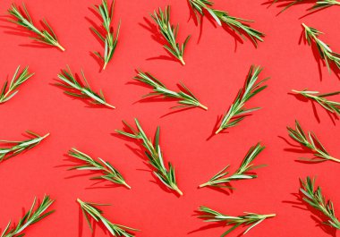 Kırmızı arkaplanda renkli biberiye deseni, yukarıdan, sert gölge