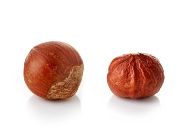 Beyaz arkaplanda fındık