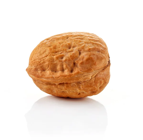 Walnut on white background — Stock Photo, Image