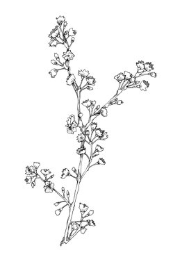 El-kabataslak şube çiçekli