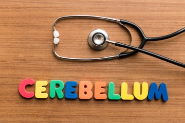 Beyincik yararlı tıbbi kelime tıbbi kelime