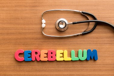 beyincik renkli kelime yararlı tıbbi kelime tıbbi kelime