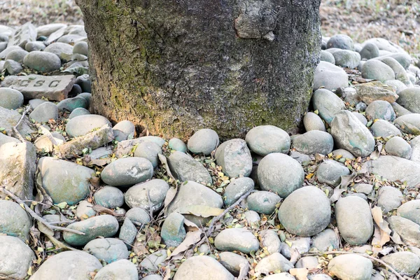 Stenen achtergrondafbeelding — Stockfoto