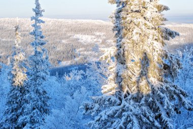 Cevheri İsveç'te Kayak
