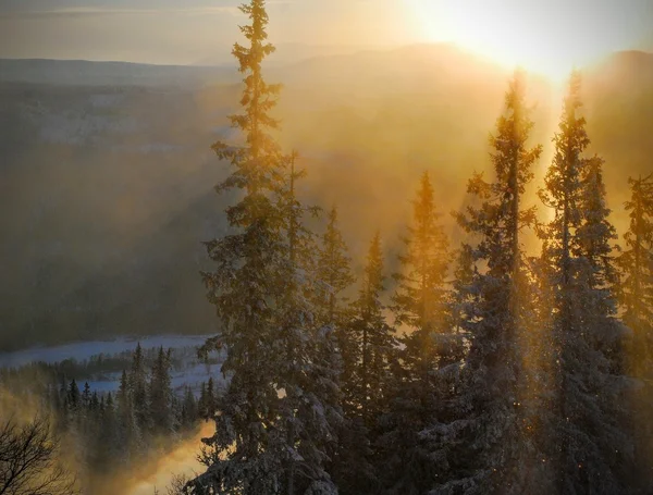 Skidåkning i malm Sverige — Stockfoto