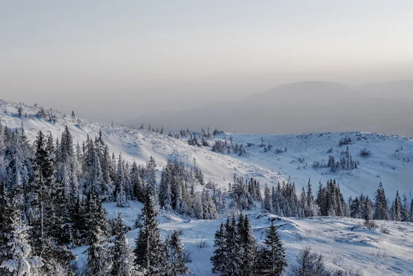 Esqui em Ore Suécia — Fotografia de Stock