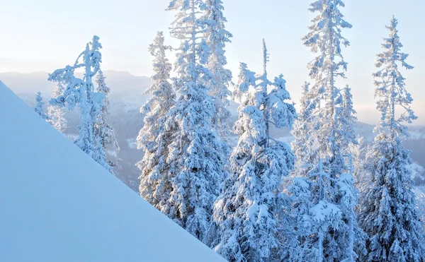 Skiën in erts Zweden — Stockfoto