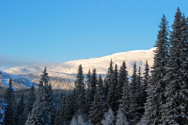 Sciare a Ore Svezia — Foto Stock