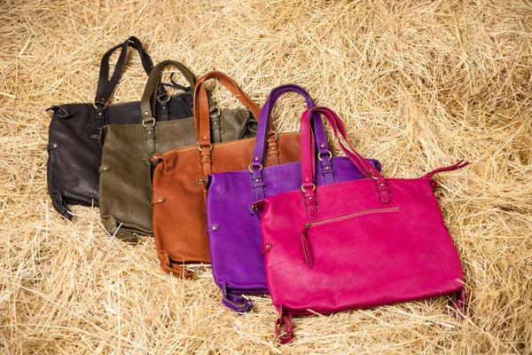 Många färgade kvinnors väskor — Stockfoto