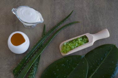Doğal kozmetik malzemeler. Aloe vera, yağ, deniz tuzu, el yapımı