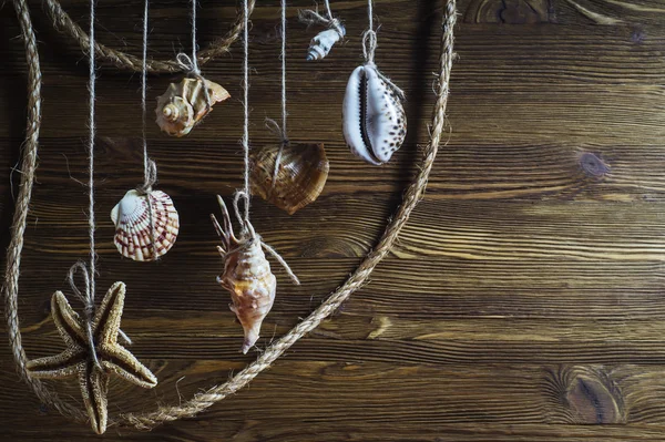 Conchas de mar y estrellas de mar colgando de la cuerda, estilo vintage —  Fotos de Stock