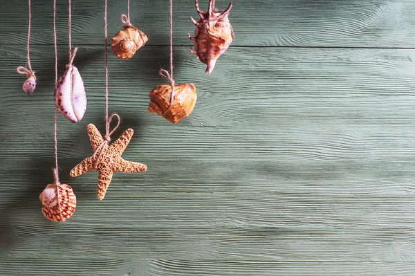 Conchas de mar y estrellas de mar colgando de la cuerda, estilo vintage —  Fotos de Stock