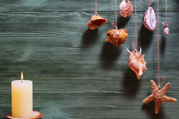 Conchas de mar y estrellas de mar colgando de la cuerda, estilo vintage —  Fotos de Stock