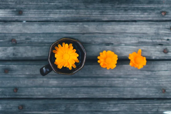 Egy sárga virág egy fából készült háttér belül kávét — Stock Fotó
