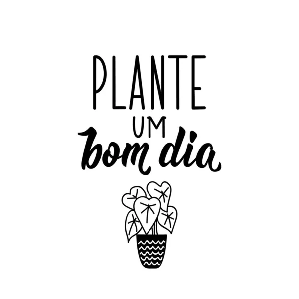 Brasilianische Schrift Übersetzung Aus Dem Portugiesischen Pflanze Einen Guten Tag — Stockvektor